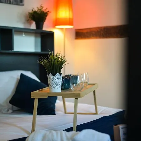 Gare - Le Grenier De Beauvoisine Apartman *