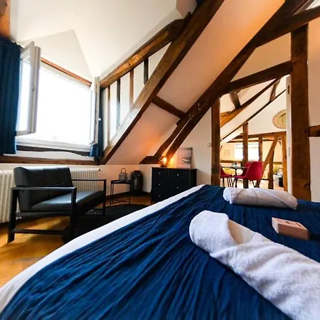 Апартаменты Gare - Le Grenier De Beauvoisine *