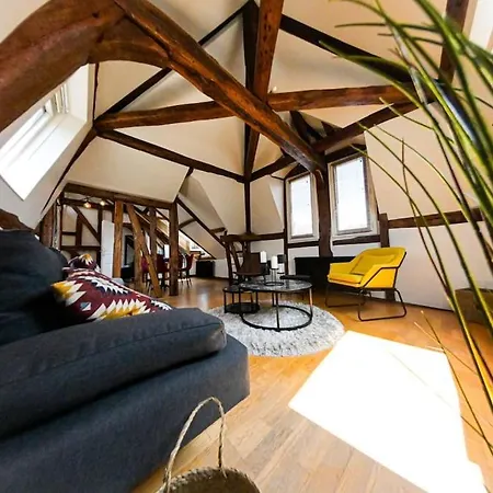 Apartman Gare - Le Grenier De Beauvoisine Rouen