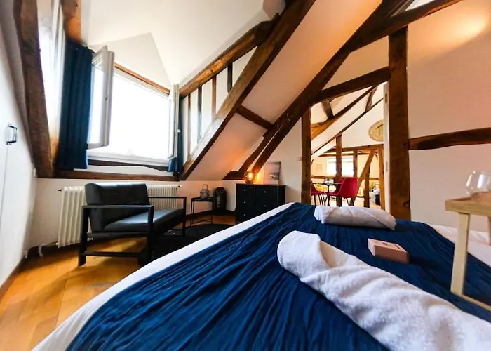 Apartament Gare - Le Grenier De Beauvoisine *
